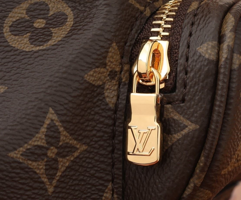 LV Backpacks